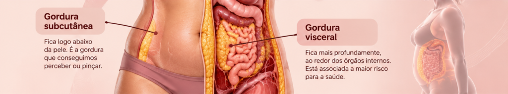 Imagem atual: Ilustração da diferença entre gordura visceral e subcutânea na região abdominal